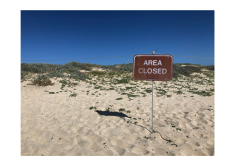 Beach with an "area closed" sign