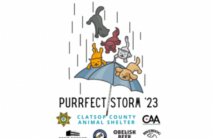 Purrfect Storm graphic