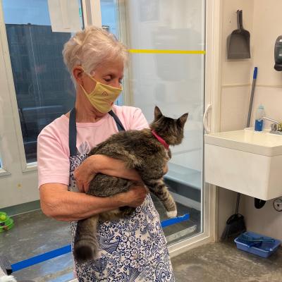 Volunteer Holding Cat