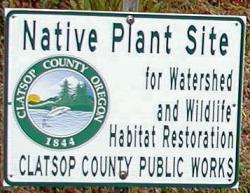 Native Plant Site for Watershed and Wildlife Habitat Restoration