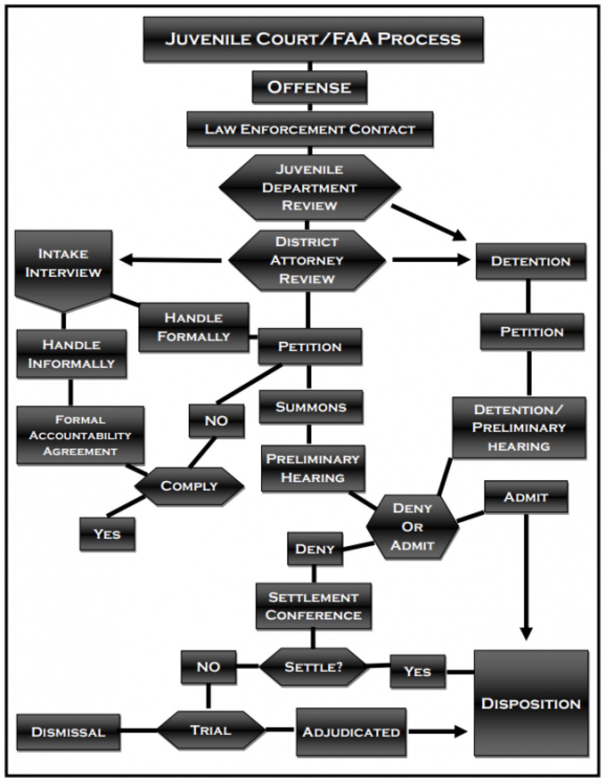 Juvenile Court / FAA Process Chart